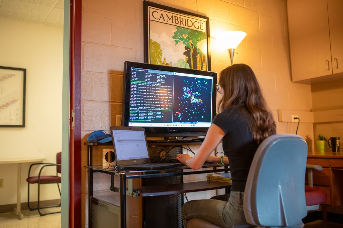Student working at a laptop